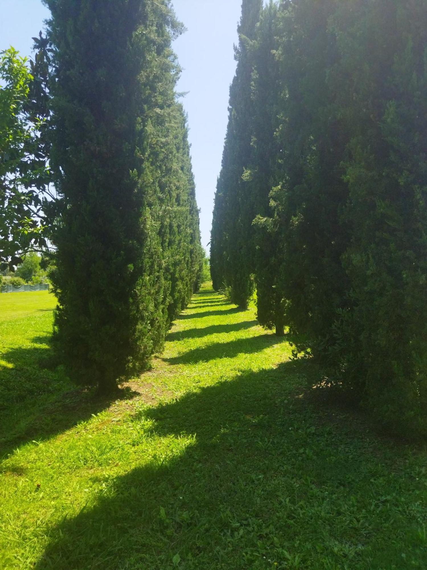 Villa Fontana Capannori Buitenkant foto